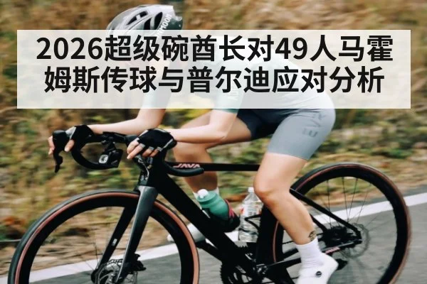 2026超级碗酋长对49人马霍姆斯传球与普尔迪应对分析